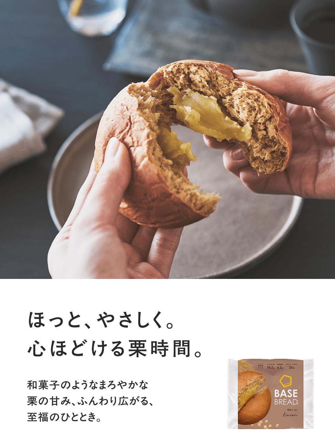 完全栄養食 BASE BREAD （ベースブレッド） 完全栄養食 BASE FOOD