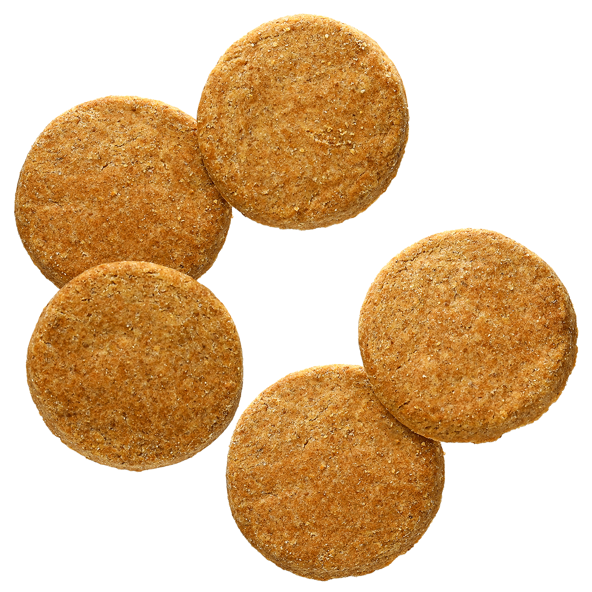 basecookies_cheese-2