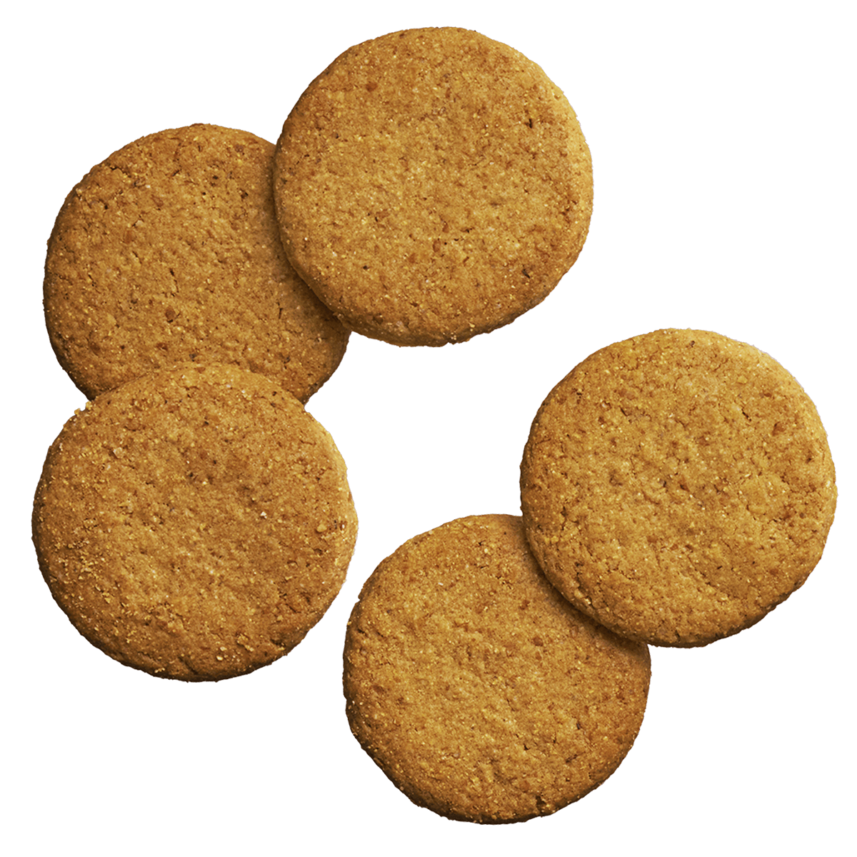 basecookies_coconut-2